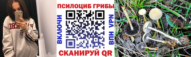 Галлюциногенные грибы GOLDEN TEACHER  Норильск 